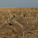 Avery KillerWeed Layout Blind Kit-All-Terrain