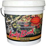 Lucky Buck Apple Flavor - 20lb Pail