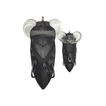 Lunkerhunt Topwater Bug