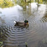 Mojo Rippler 2 Duck Decoy HW2443
