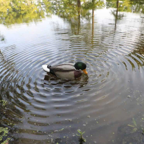 Mojo Rippler 2 Duck Decoy HW2443