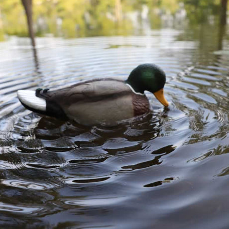Mojo Rippler 2 Duck Decoy HW2443