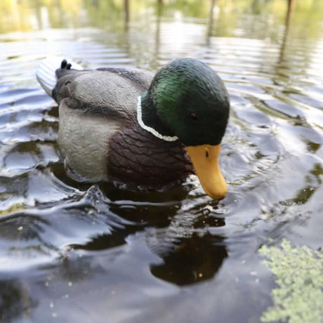 Mojo Rippler 2 Duck Decoy HW2443