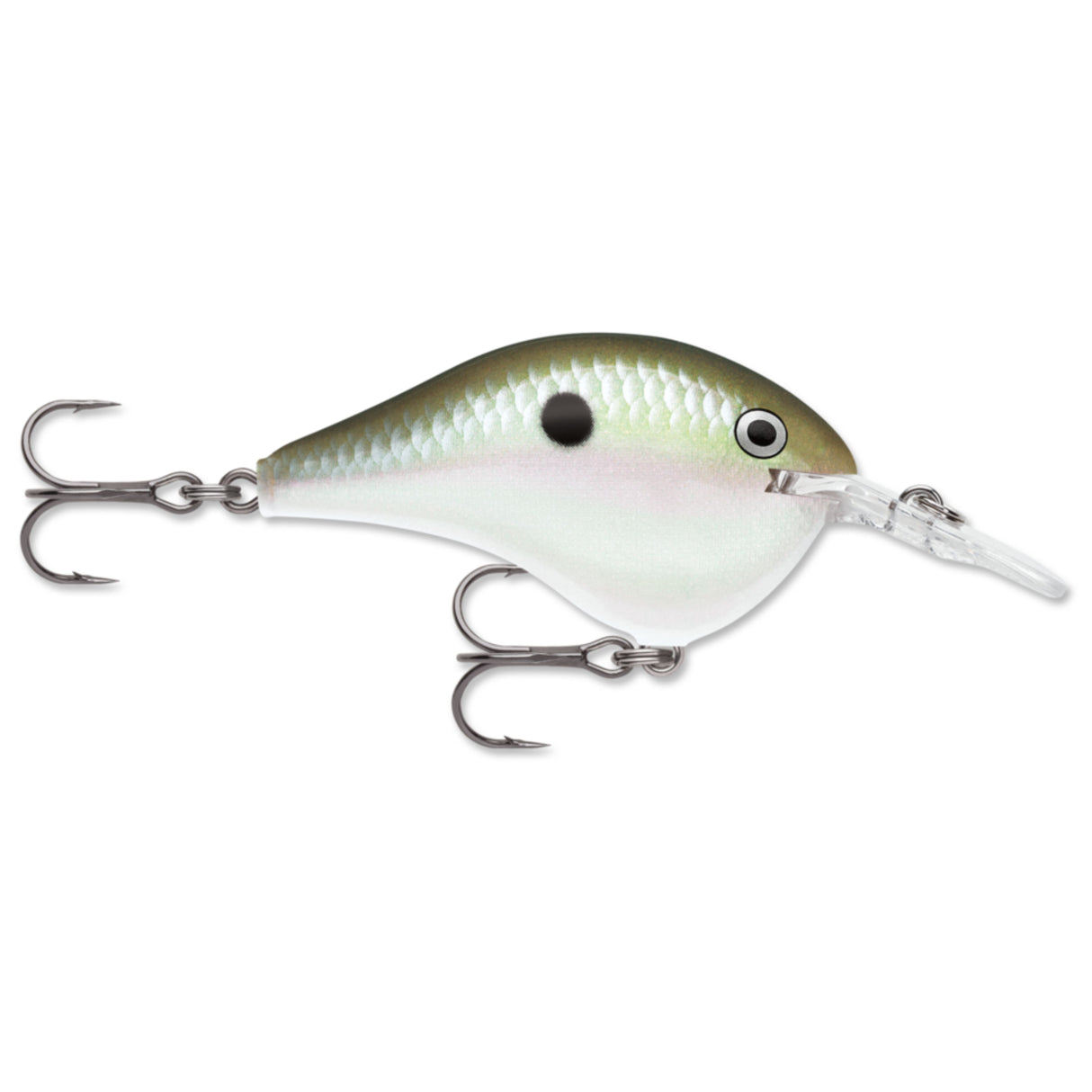 Rapala DT Dives-To Series