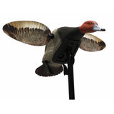 Mojo Es Diver Redhead