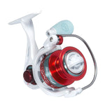 Favorite Shay Bird Reel