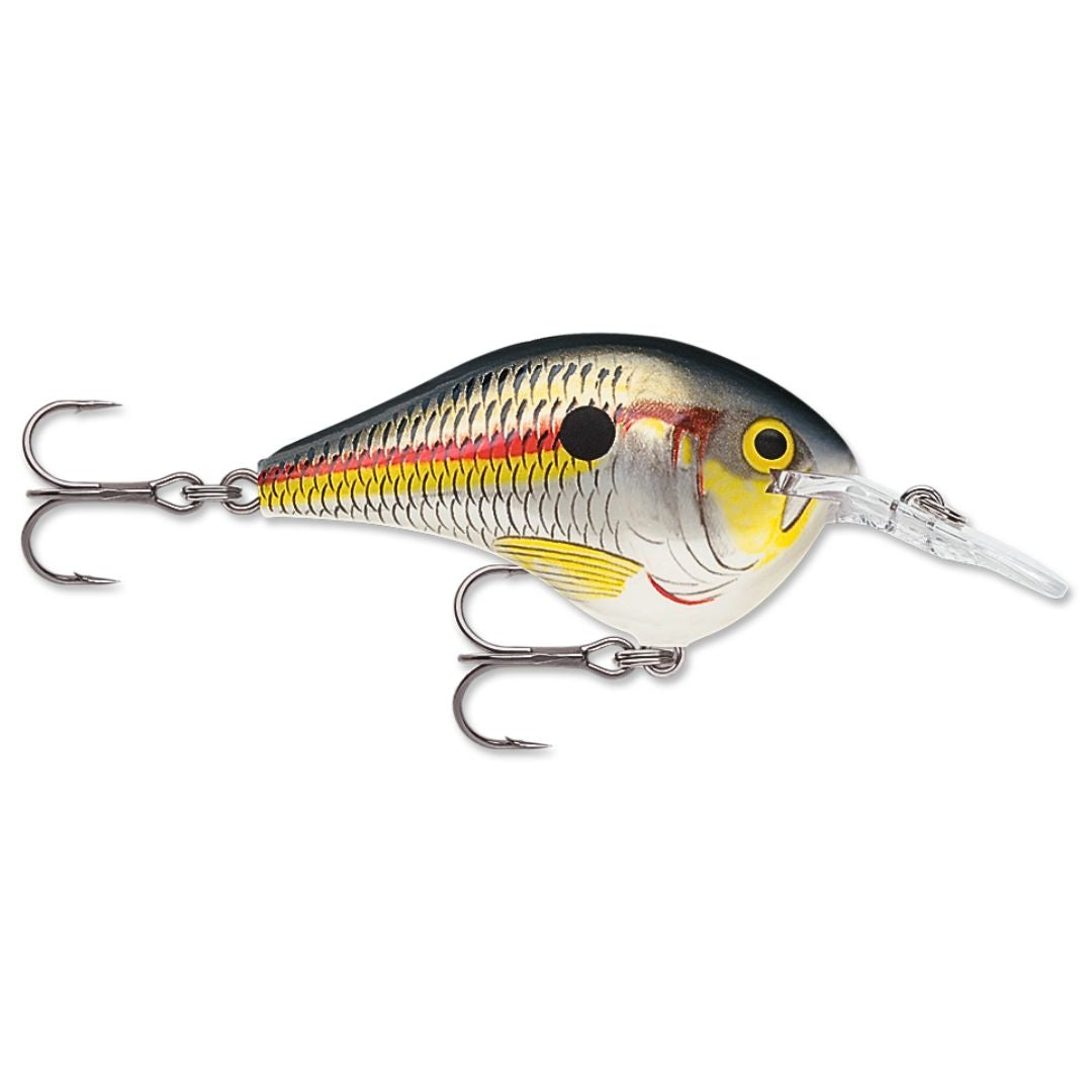 Rapala DT Dives-To Series