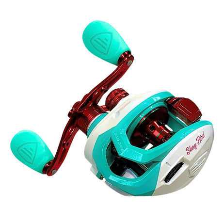 Favorite Shay Bird Reel