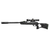 Gamo Swarm Fusion 10X GEN3i Inertia  - .22