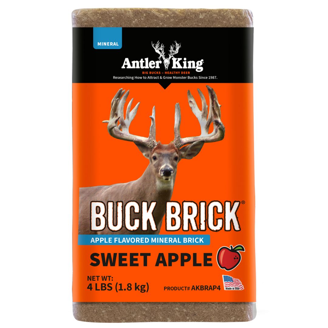 Antler King Buck Brick Sweet Apple (4#)