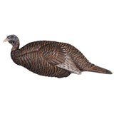 Flextone Thunder Chick Breeder Turkey Decoy