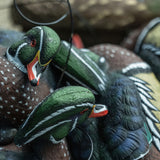 Avian-X Topflight Wood Ducks 6 Floating Decoys