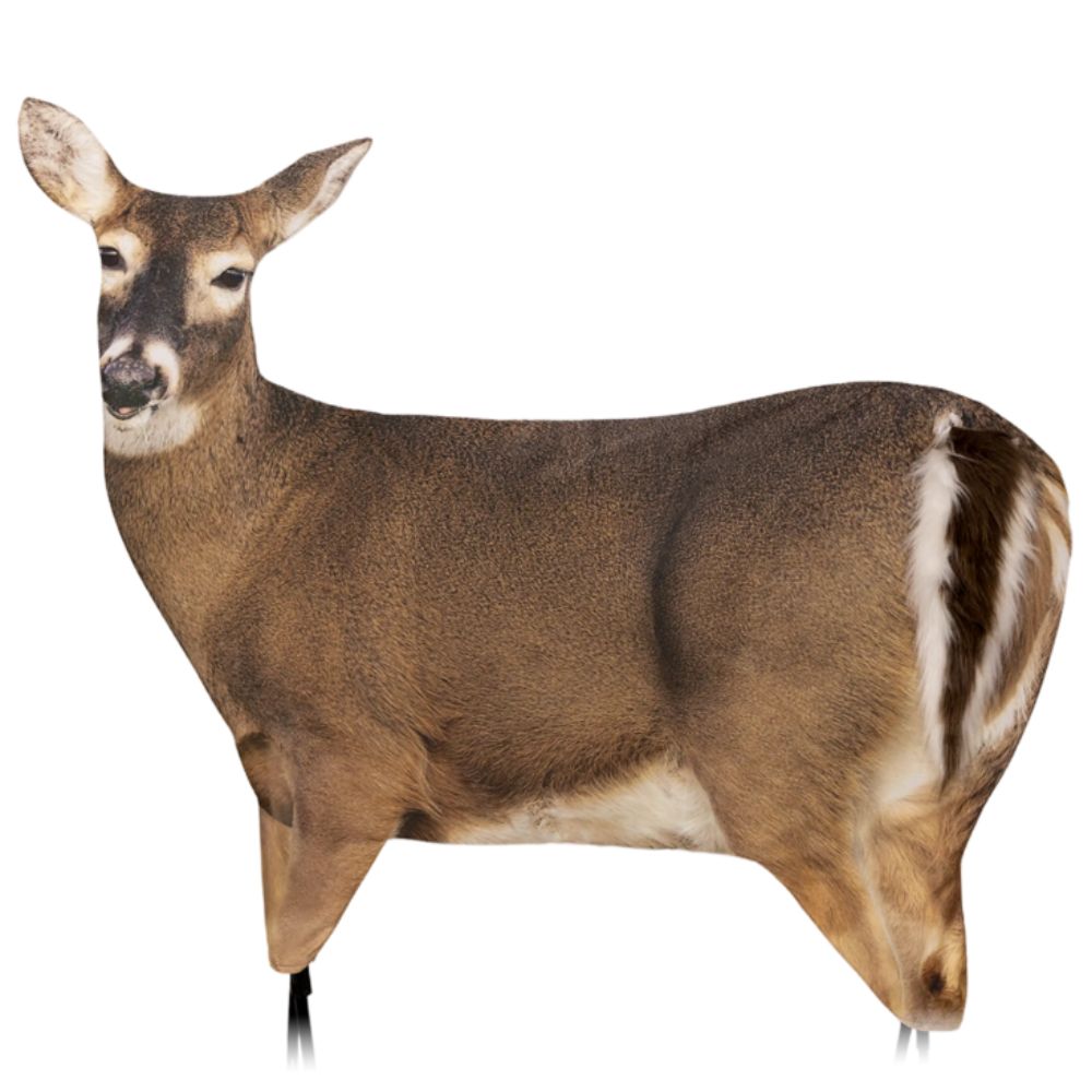 Montana Trixie Whitetail Doe