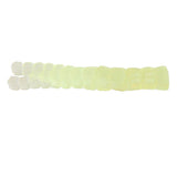 Leland Trout Magnets 50pc