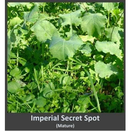 Whitetail Institute Secret Spot 4lb