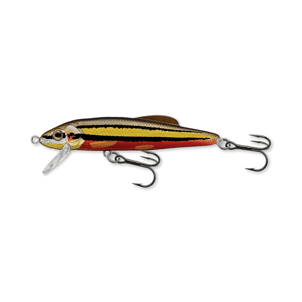 LiveTarget Dace Rolling JerkBait 3” 1/4oz Dives 4-5’ Good Colors EBR 3