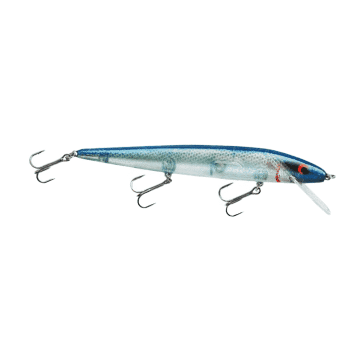 CLOSEOUT** SMITHWICK PERFECT 10 ROGUE LURE - Northwoods Wholesale Outlet