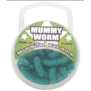 MUMMY WORM - HOW IS THAT POSSIBLE? 