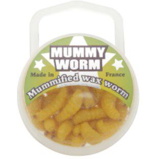 EUROTACKLE MUMMY WORM MUMMIFIED WAX WORM 35 PACK - Northwoods Wholesale  Outlet